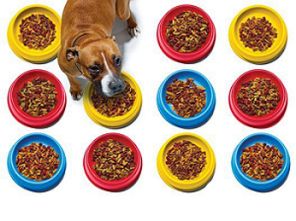 湖北可靠的寵物食品輻照公司及輻照食品檢測儀使用指南