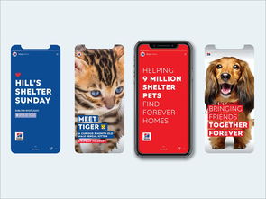 以愛為筆，以食為畫——專訪寵物食品包裝設(shè)計(jì)師